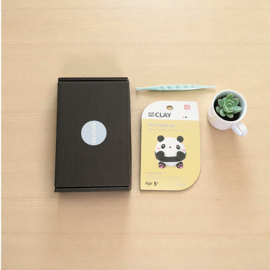 Creative DIY clay kit gift box with safe air dry clay, sculpting tool, and eco-friendly packaging. Perfect hands-on activity for kids and adults who love crafts, learning, and screen-free fun. Inspires calm creativity and focus.